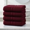 Terry Cotton Hand Towels – Soft, Thick & Absorbent (Pack of 4)