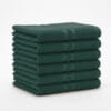 Terry Cotton Hand Towels Pack of 6 – 14x21 Inches