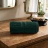 Terry Cotton Hand Towels Pack of 6 – 14x21 Inches