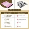 ZT